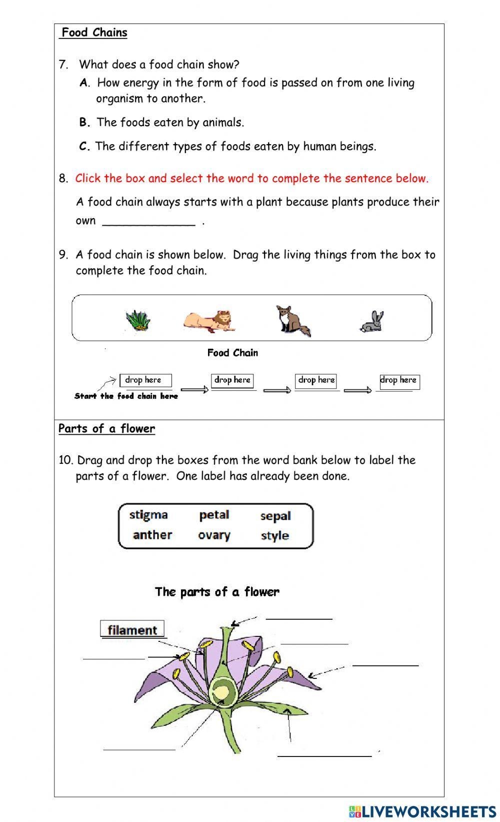 Printable Science Worksheets For Grade 3