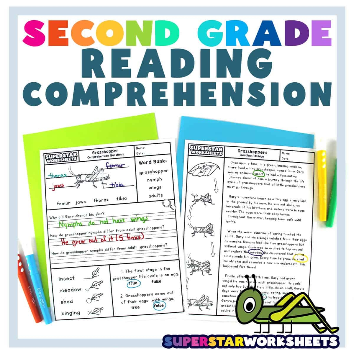 Printable 2nd Grade Reading Worksheets