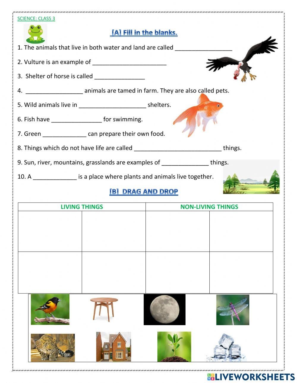 3rd Grade Life Science Major Animal Groups Your Kids Should Know Worksheets Library