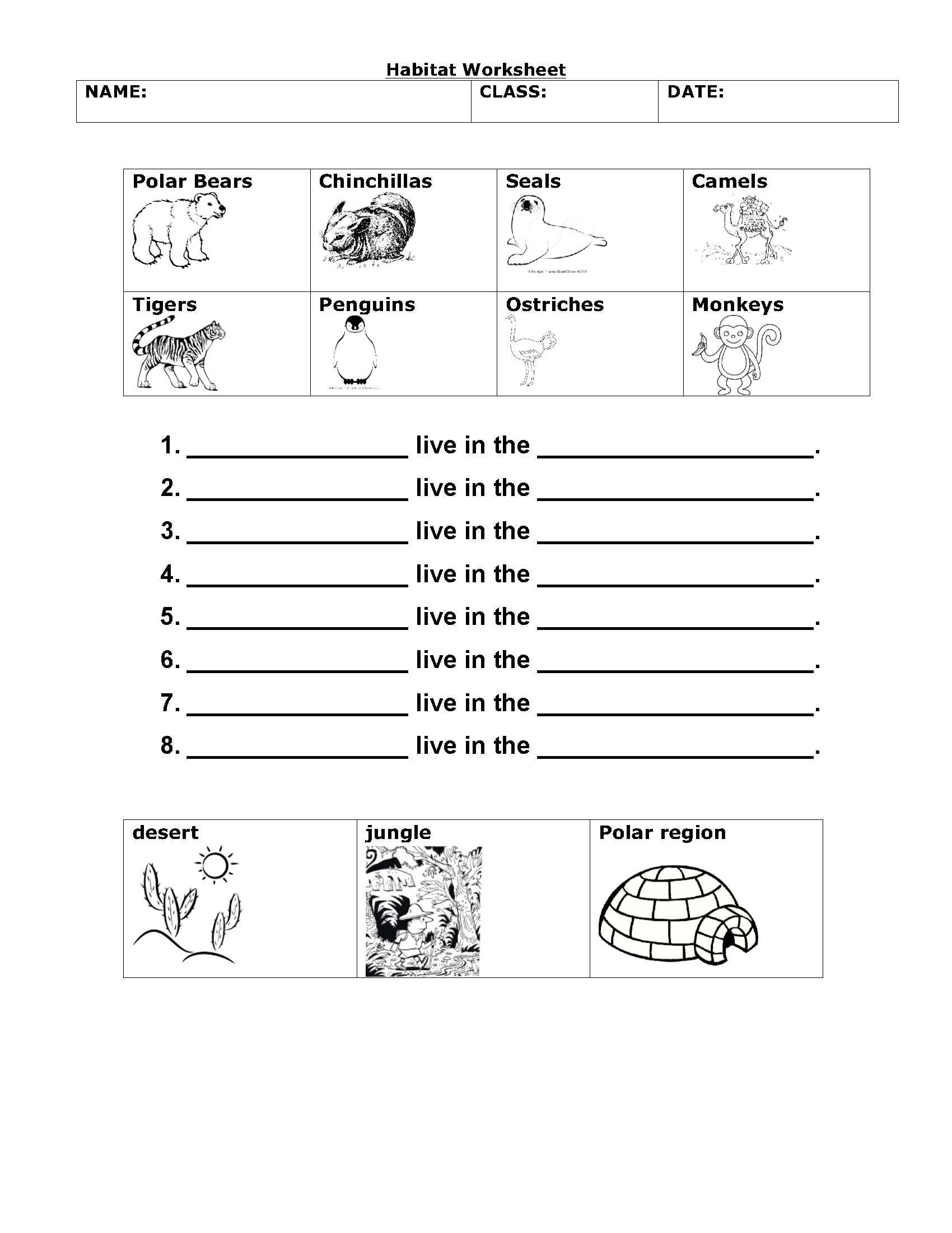 Engaging Science Worksheets For Grade 1 Interactive Learning Resources