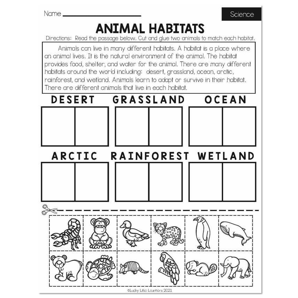Fall Early Finishers 2nd Grade Science Animal Habitats Lucky Little Learners
