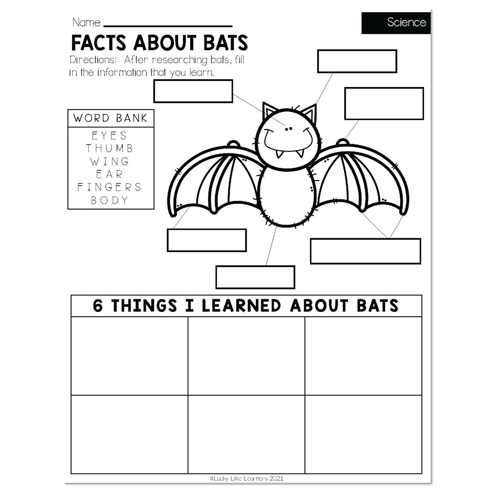 Printable Worksheets For 2nd Grade Science