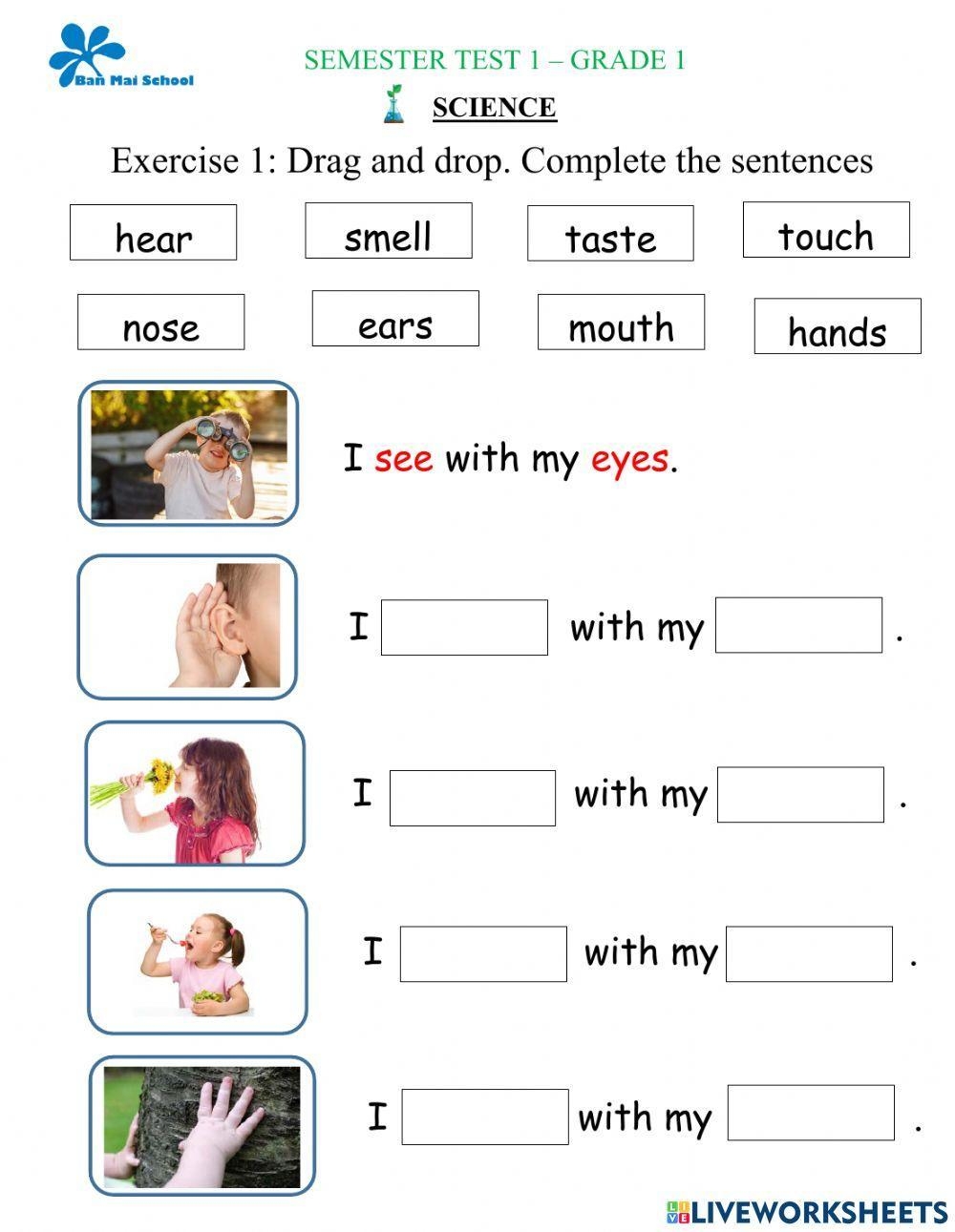 Grade 1 Science Worksheets K5 Learning Worksheets Library