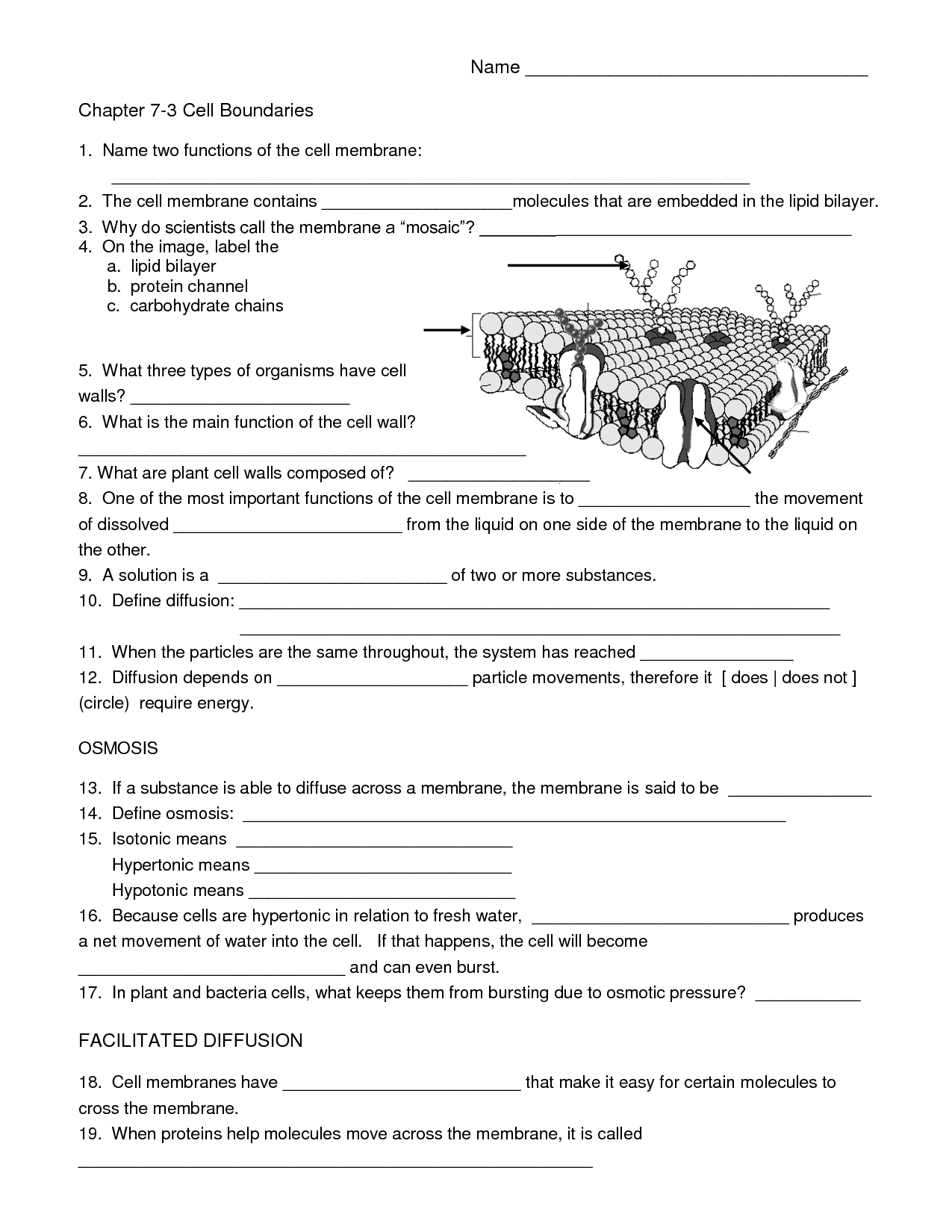 Grade 8 Worksheets Integrated Science Worksheets Library