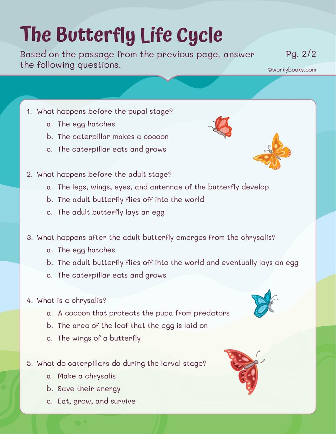Printable Worksheets For 5th Grade Science