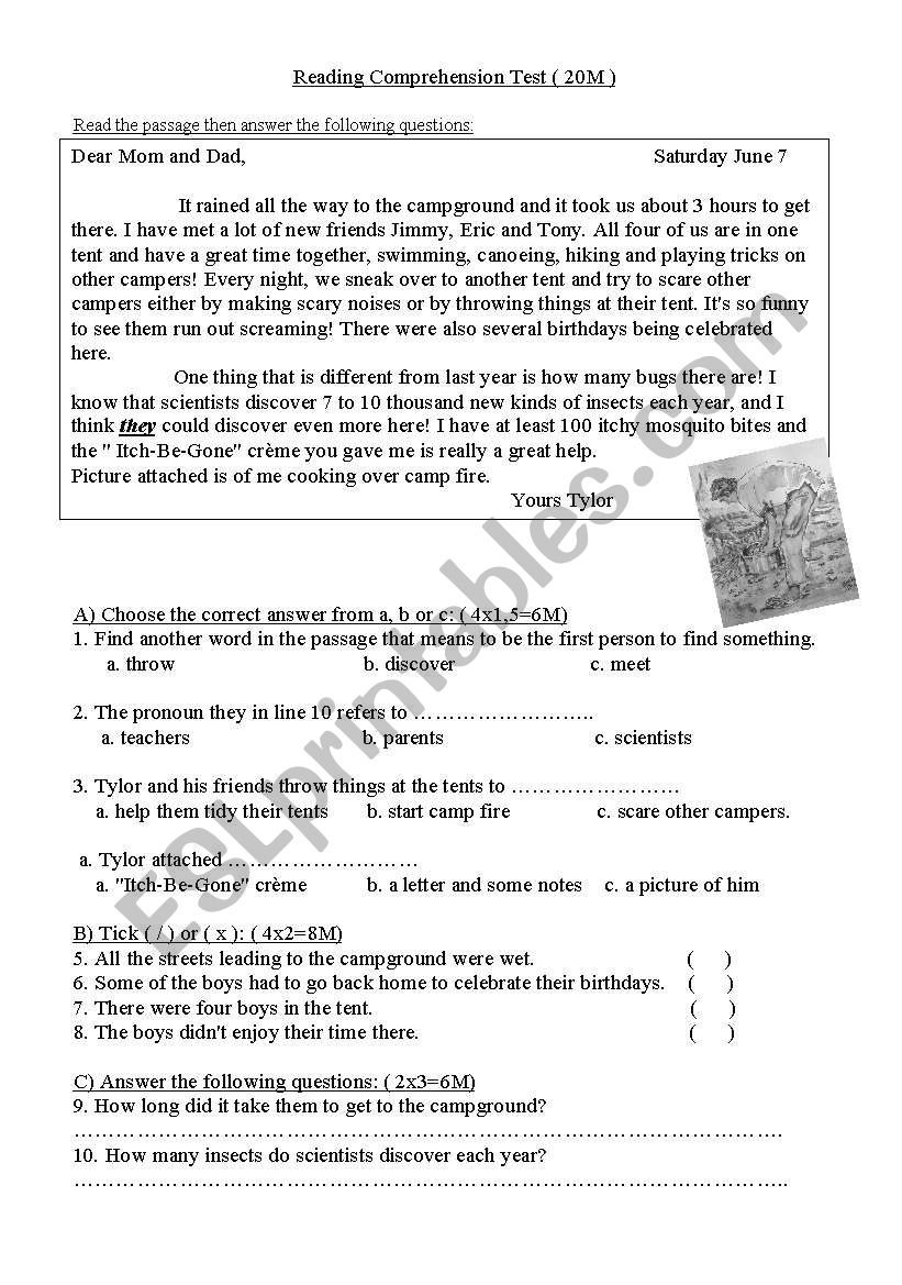 The Camping Trip ESL Worksheet By Sara5