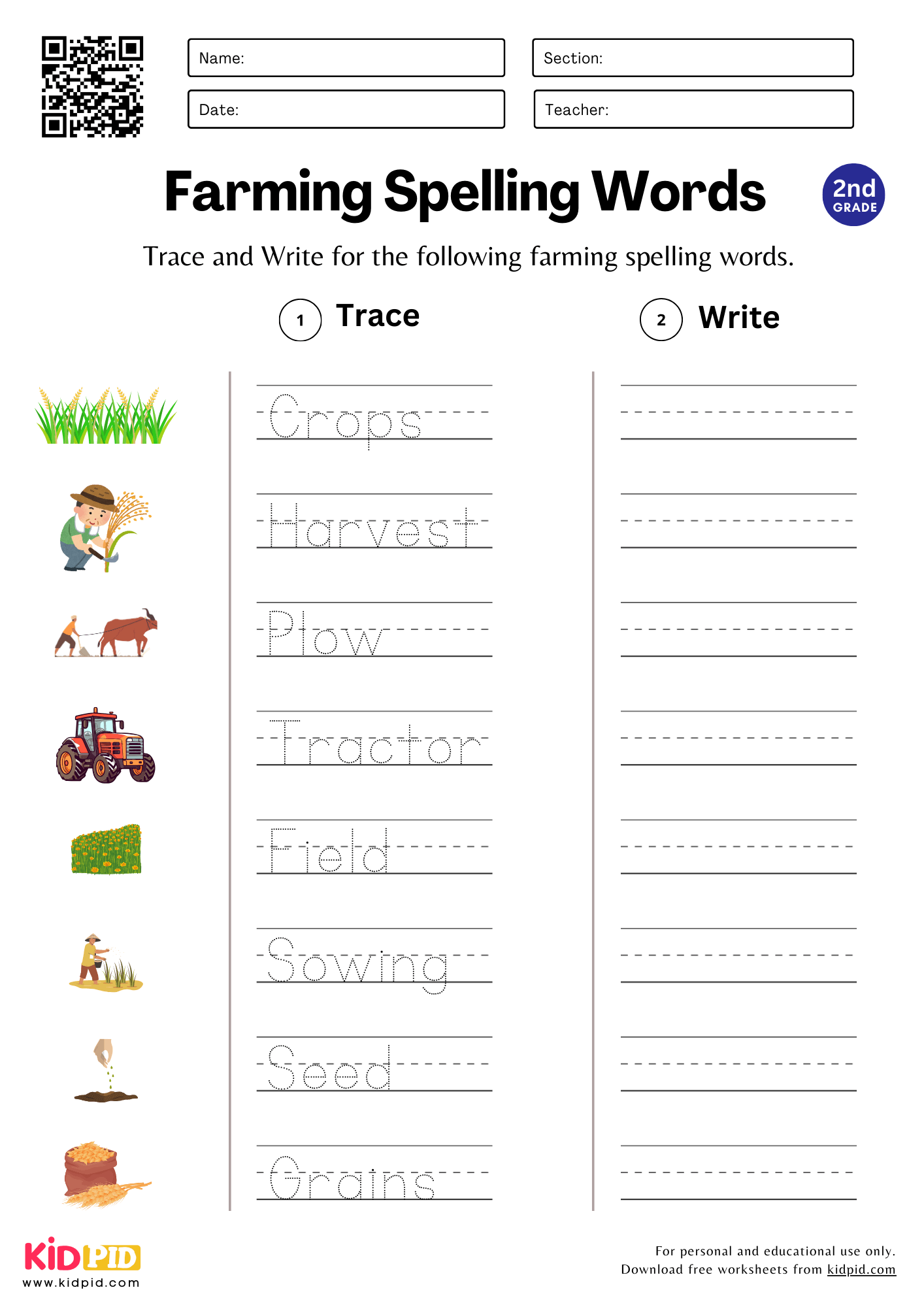Trace Write Spelling Words Worksheet For Grade 2 Kidpid